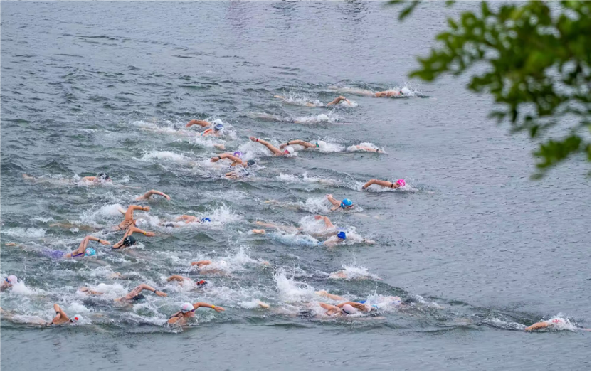 national-marathon-swimming-championships-commence-in-chun-an-the-19th